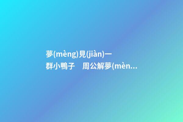 夢(mèng)見(jiàn)一群小鴨子　周公解夢(mèng)之夢(mèng)到一群小鴨子